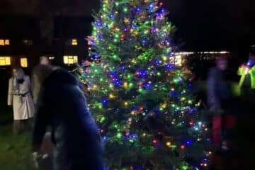 Christmas Tree Cuckamus Green 2025