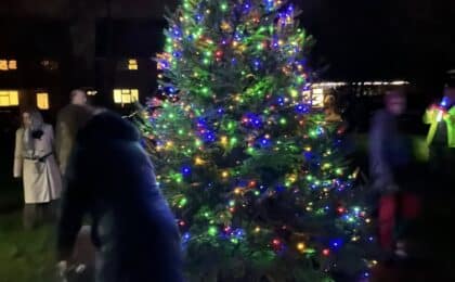 Christmas Tree Cuckamus Green 2025