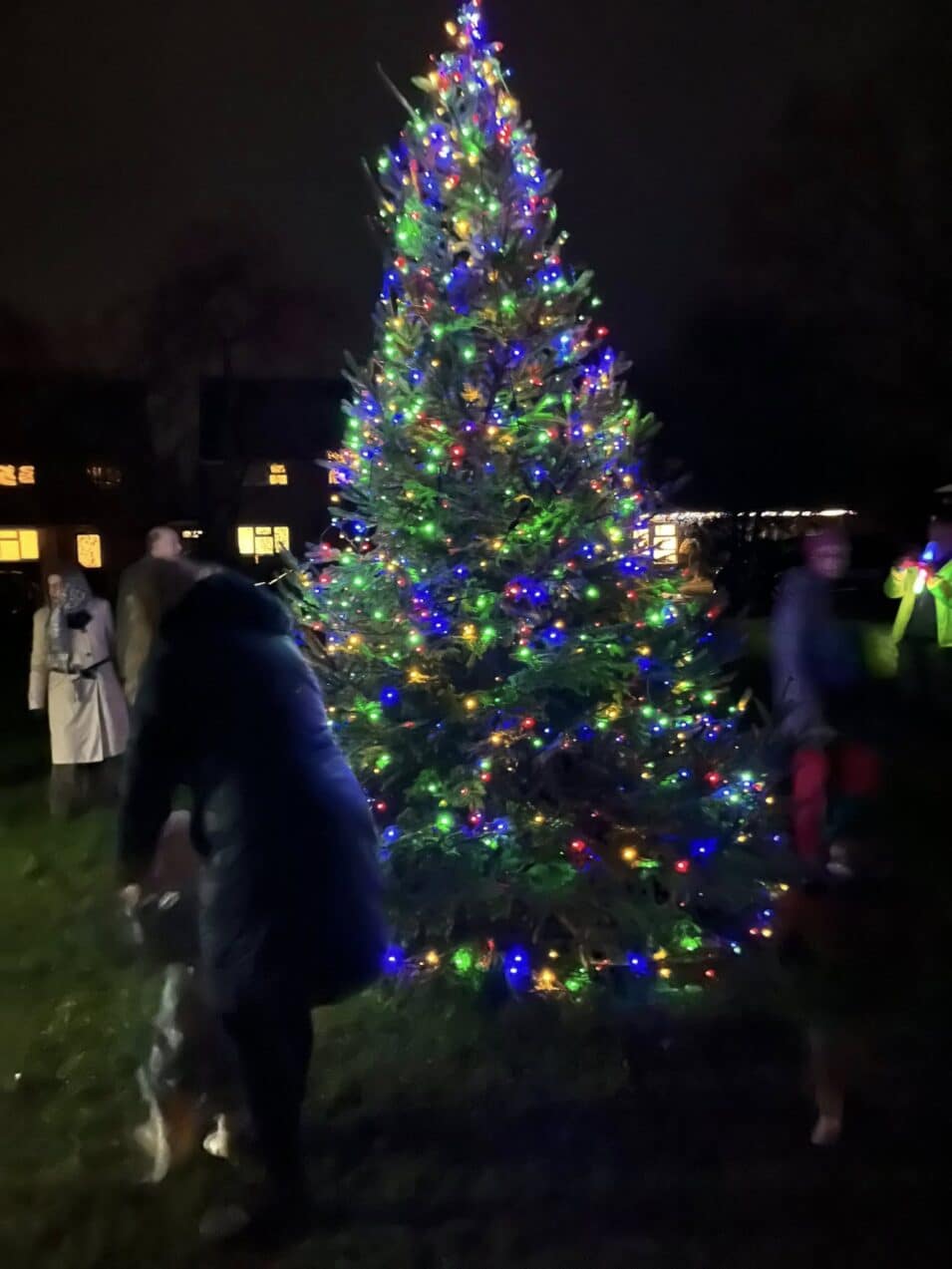 Christmas Tree Cuckamus Green 2025