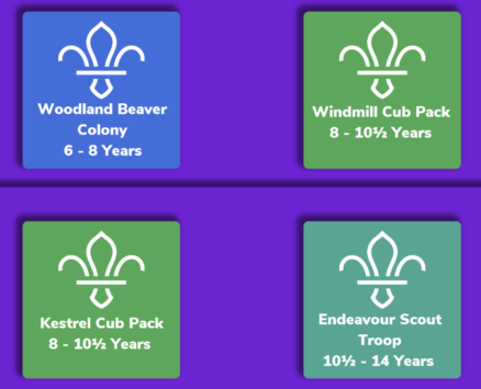 1st North Leigh scouts logo