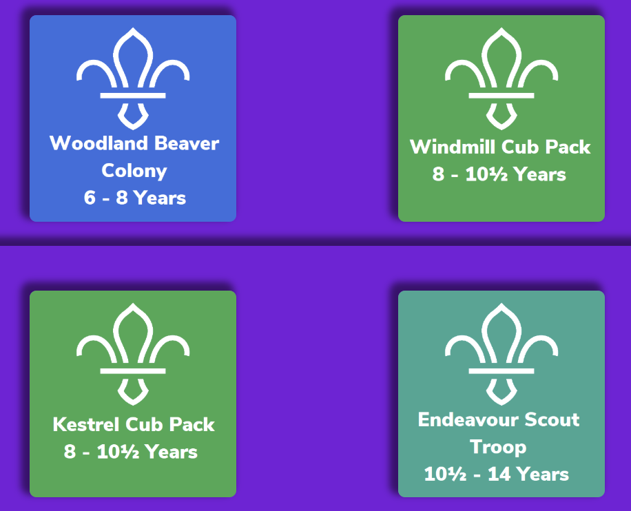 1st North Leigh scouts logo